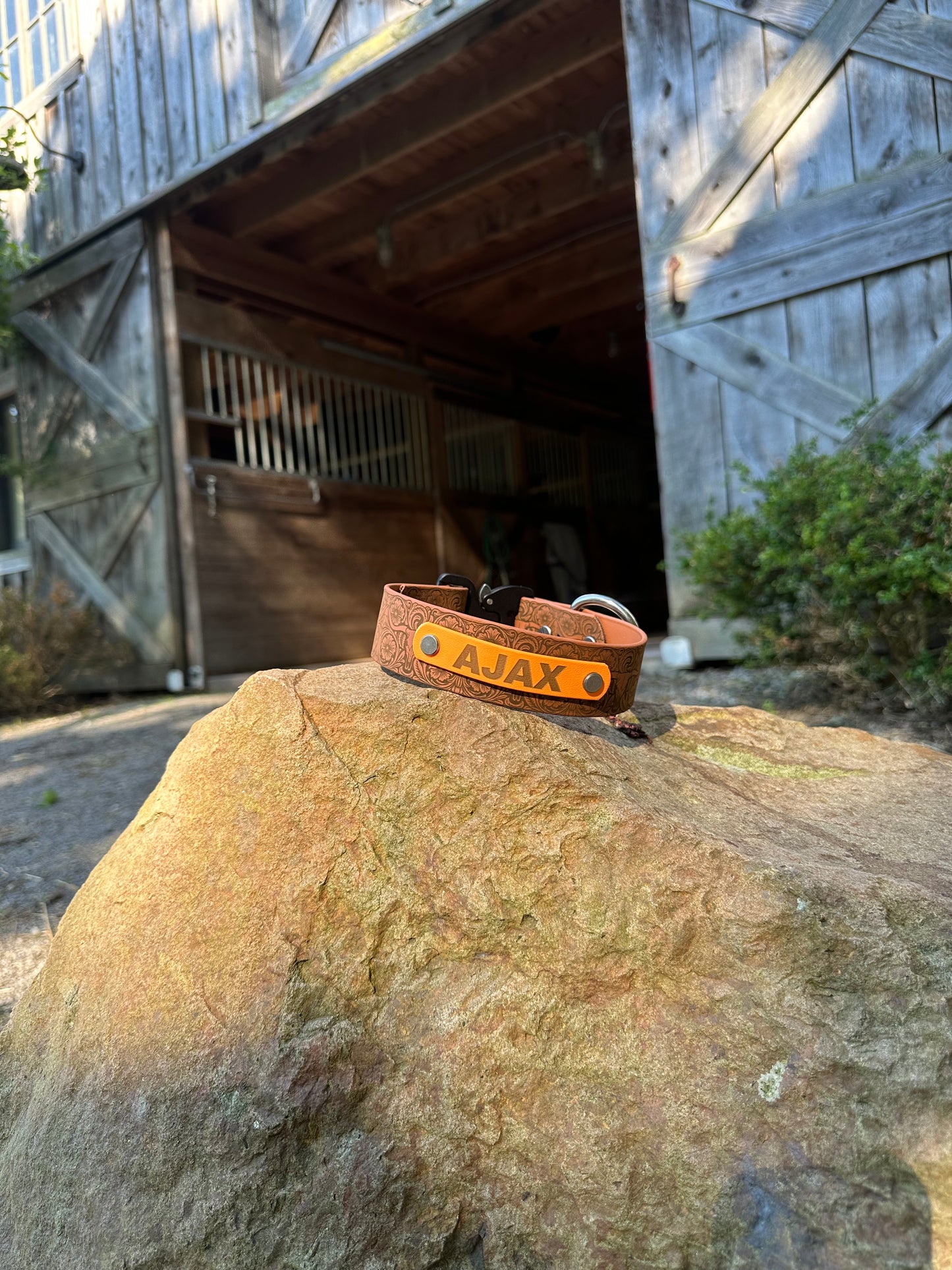 Personalized Engraved Waterproof Biothane Dog Collar. Adjustable Chicago screw variation.