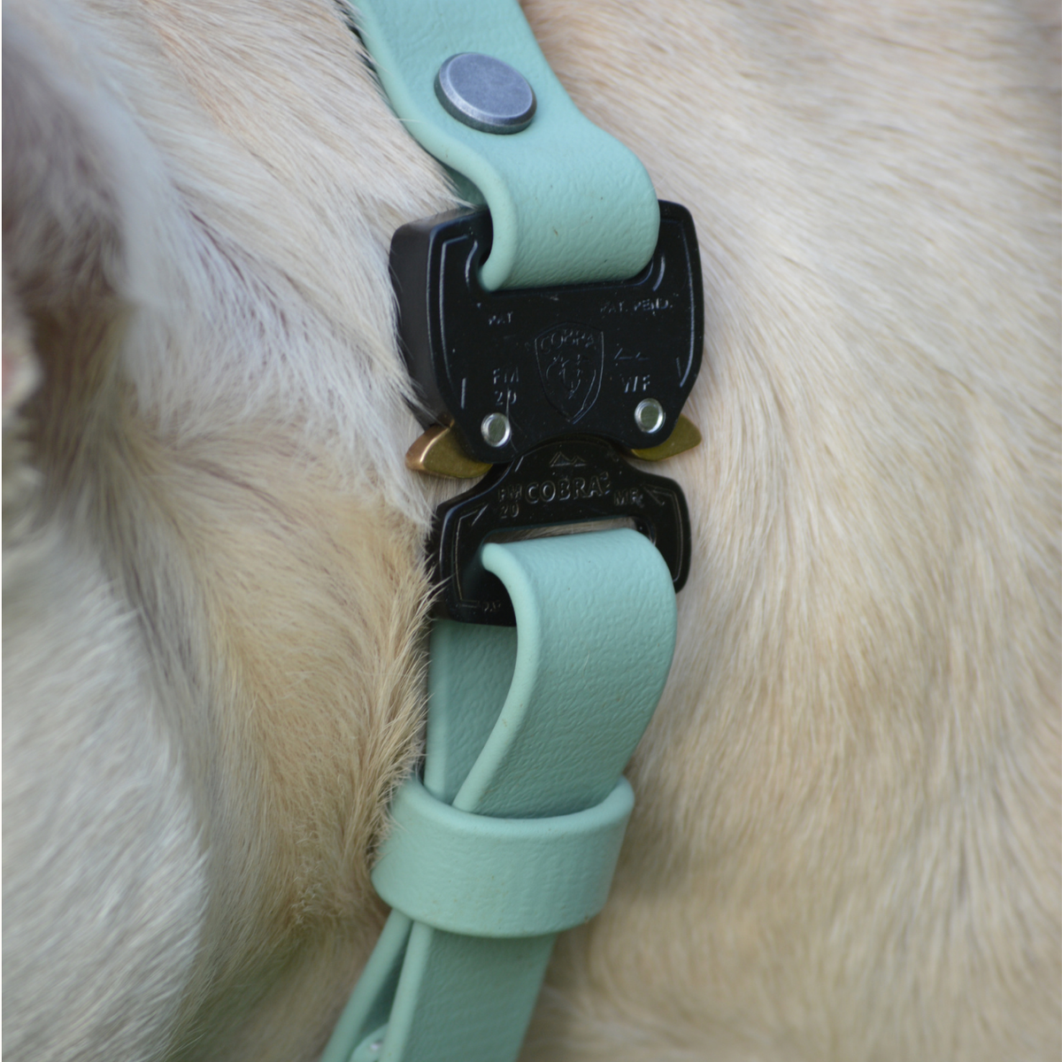 Braided Cobra Buckle Two Toned