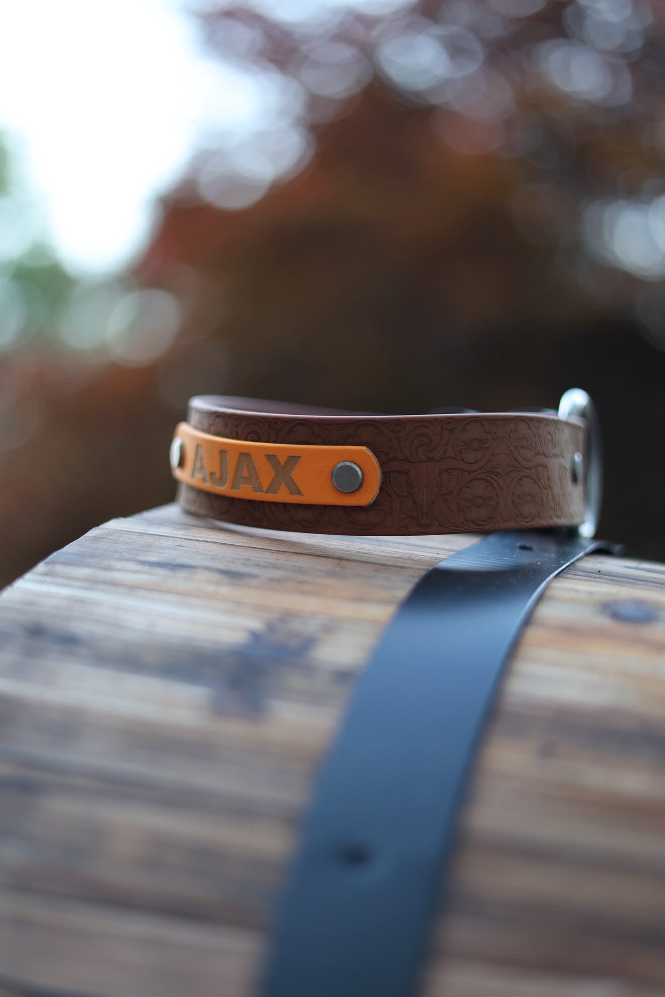 Personalized Engraved Waterproof Biothane Dog Collar. Adjustable Chicago screw variation.