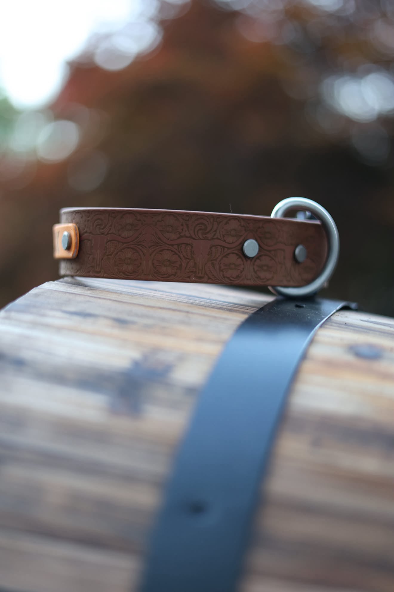 Personalized Engraved Waterproof Biothane Dog Collar. Adjustable Chicago screw variation.