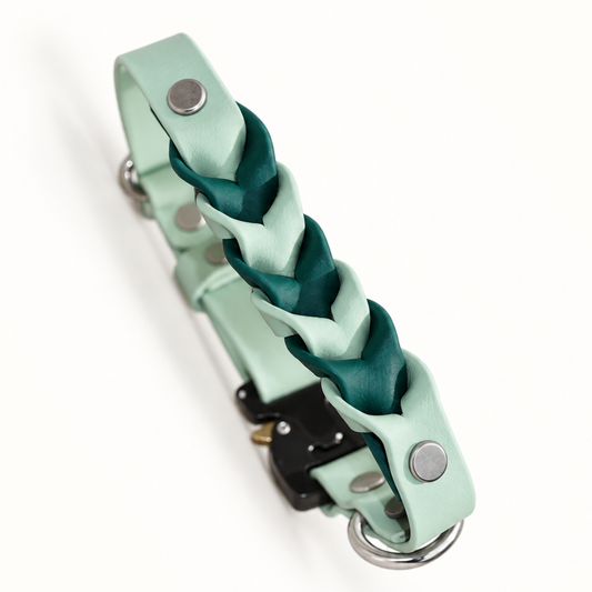 Braided Cobra Buckle Two Toned