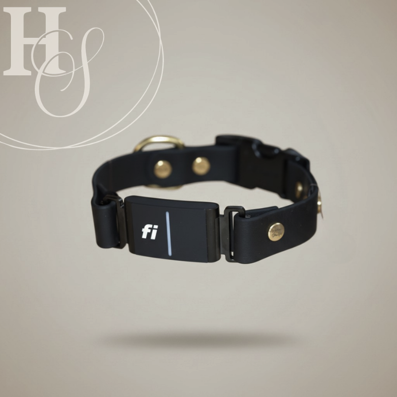 Non Adjustable Fi Collar (Waterproof + Odor-Proof)