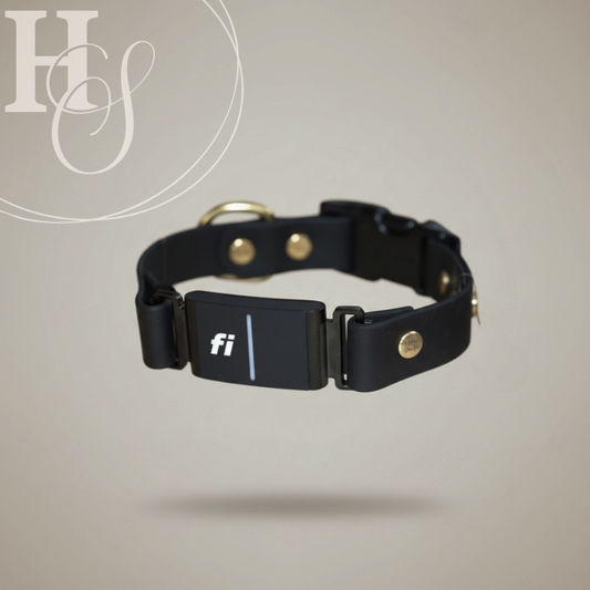 Non Adjustable Fi Collar (Waterproof + Odor-Proof)