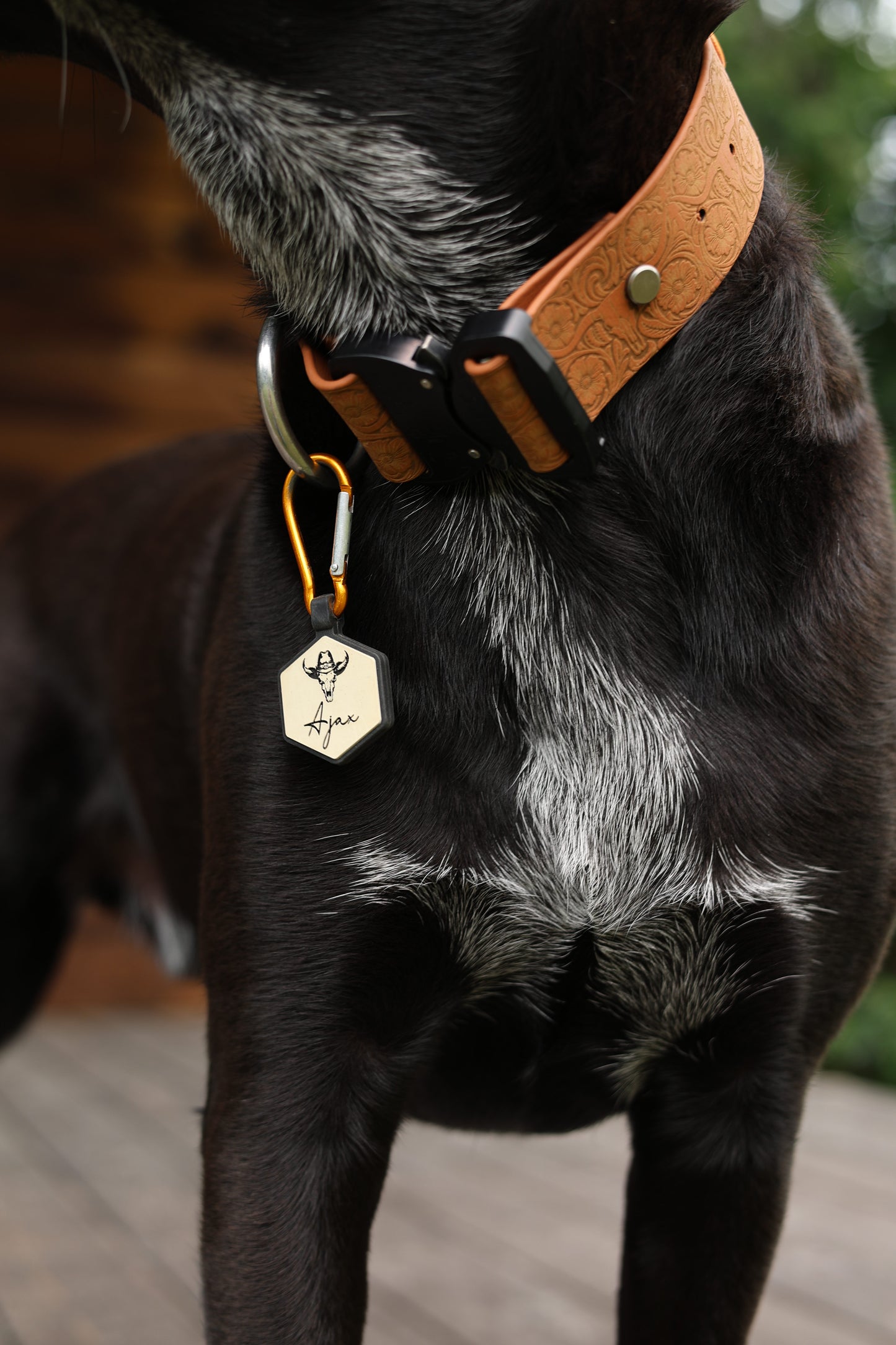 Personalized Engraved Waterproof Biothane Dog Collar. Adjustable Chicago screw variation.