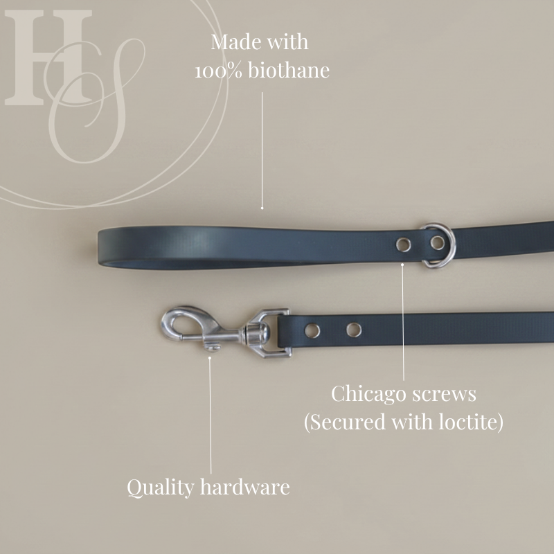 Simplistic Leash (Waterproof + Odor-Proof)