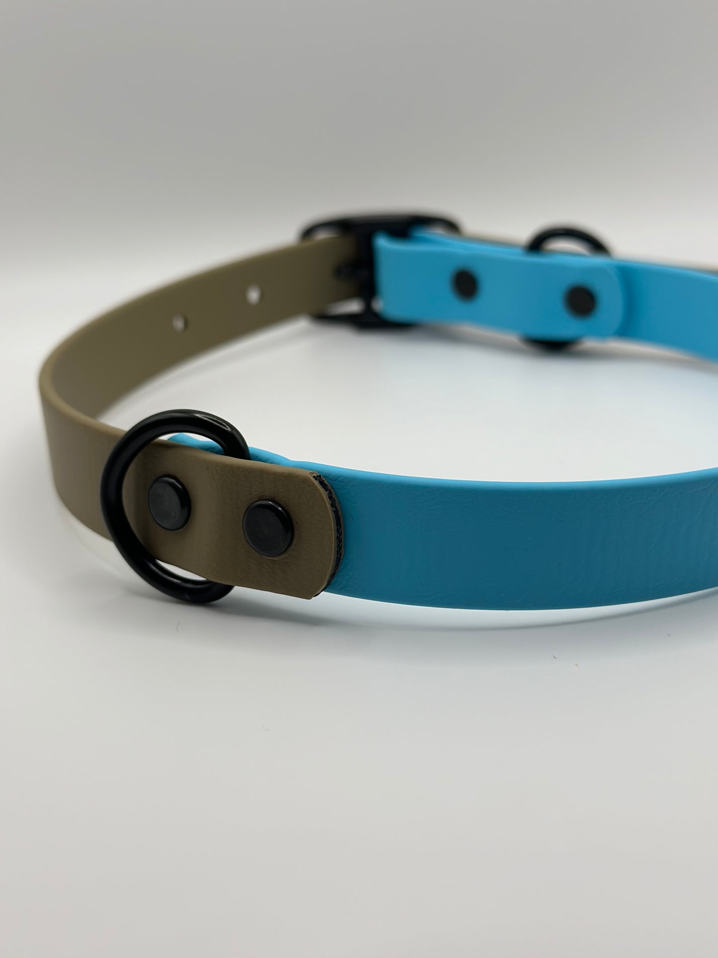 Two Toned Adjustable Collar