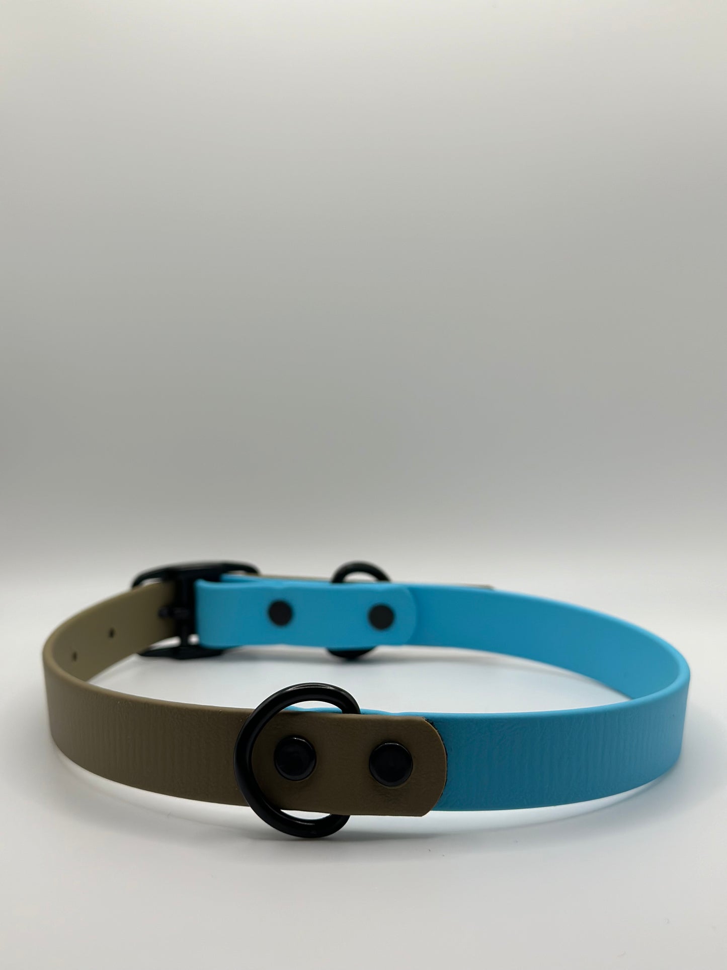 Two Toned Adjustable Collar