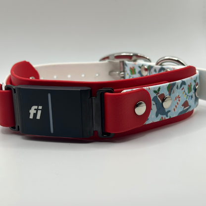 1.5" Printed Overlay Fi Collar