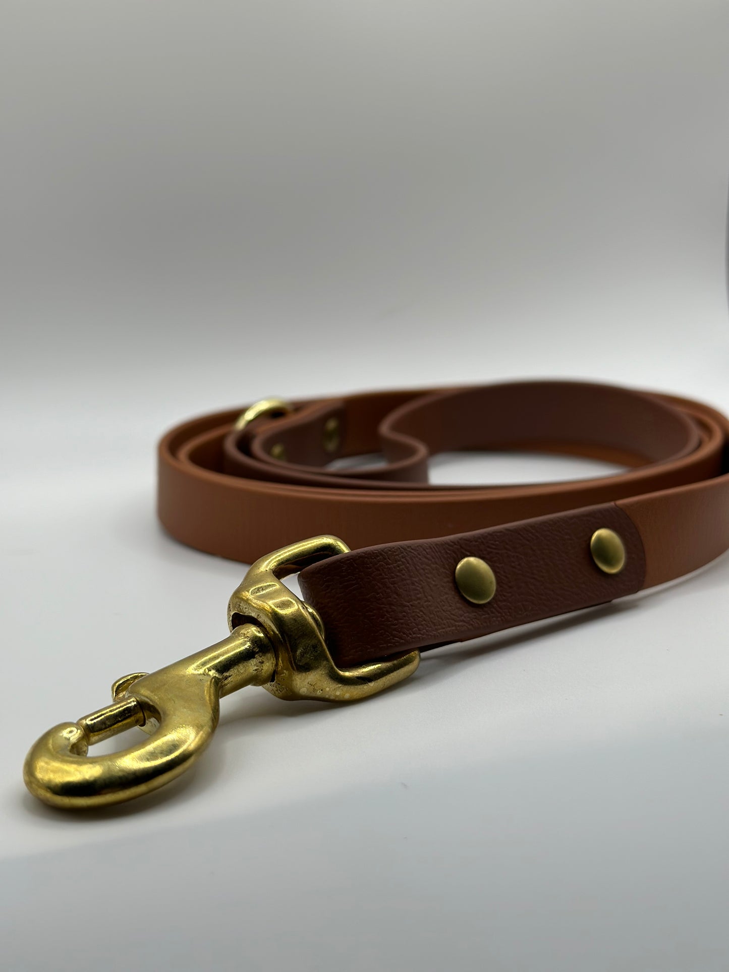 Two Toned Leash