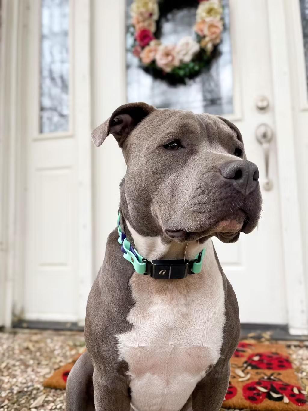 Traditional Braided Fi